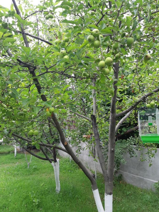 Andranik B&B Goris Dış mekan fotoğraf