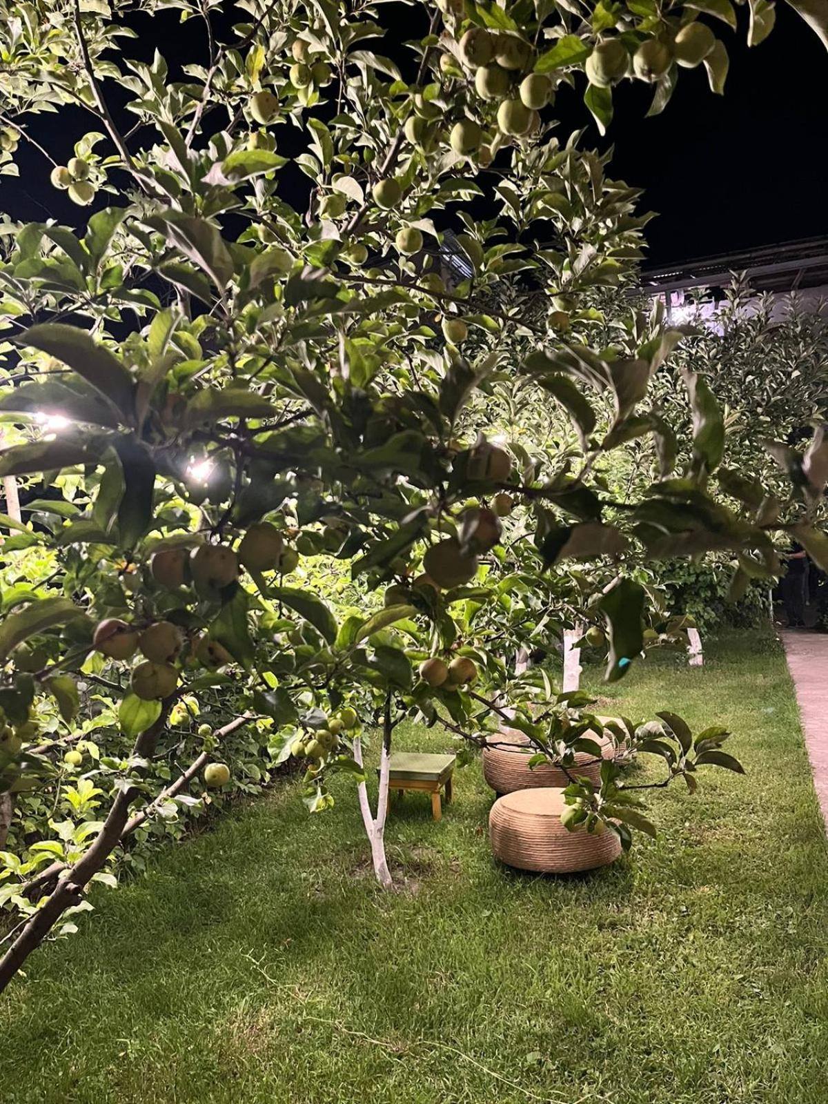 Andranik B&B Goris Dış mekan fotoğraf