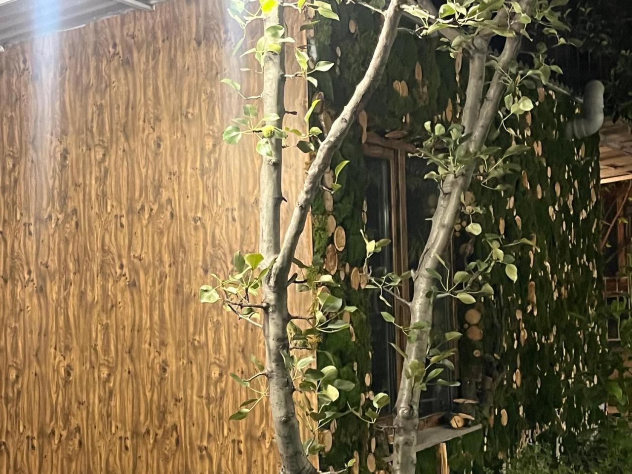 Andranik B&B Goris Dış mekan fotoğraf